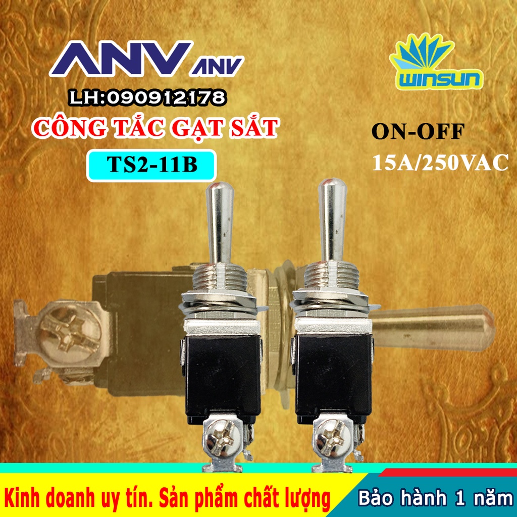 ANV Công tắc gạt sắt ANV ON-OFF 2 chân TS2-11B Winsun