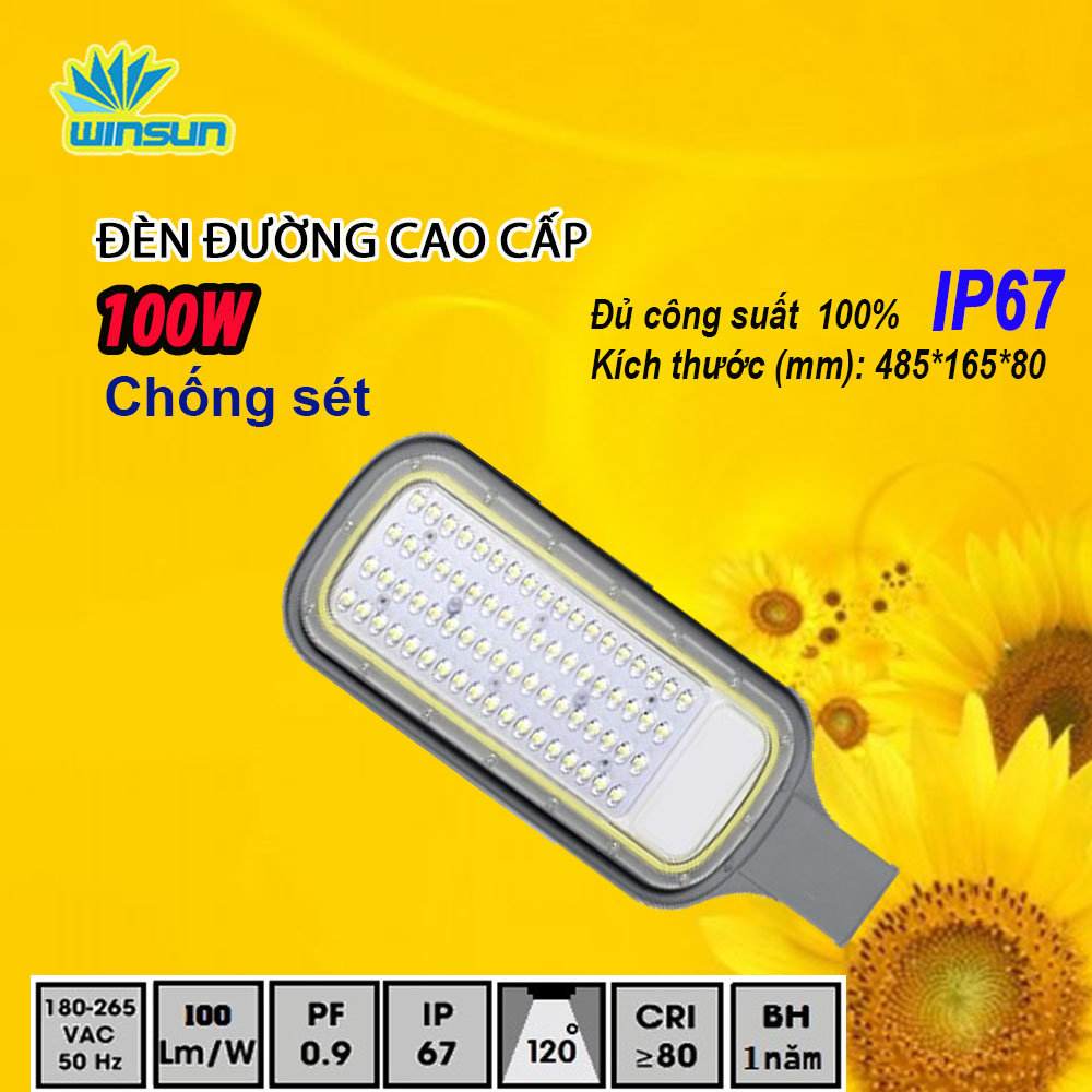 Đèn đường  cao cấp CLC - 100W