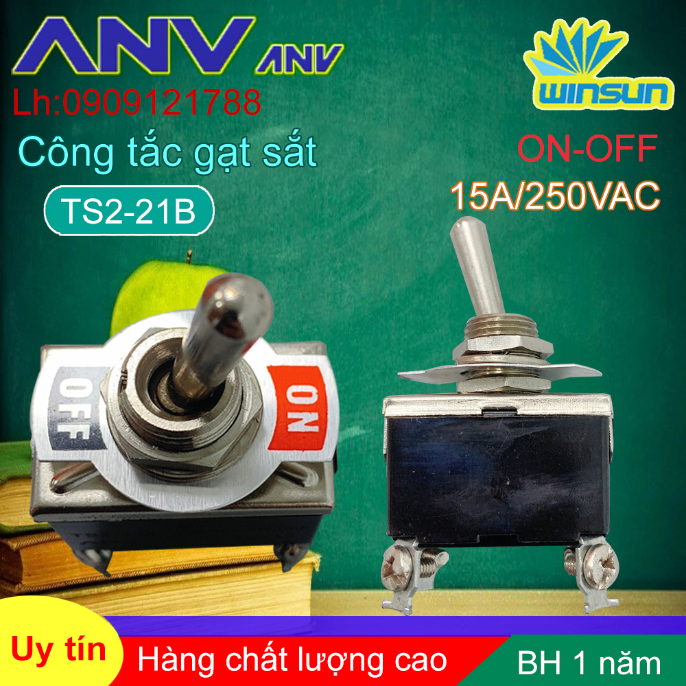 ANV Công tắc gạt sắt ANV ON-OFF 4 chân TS2-21B Winsun