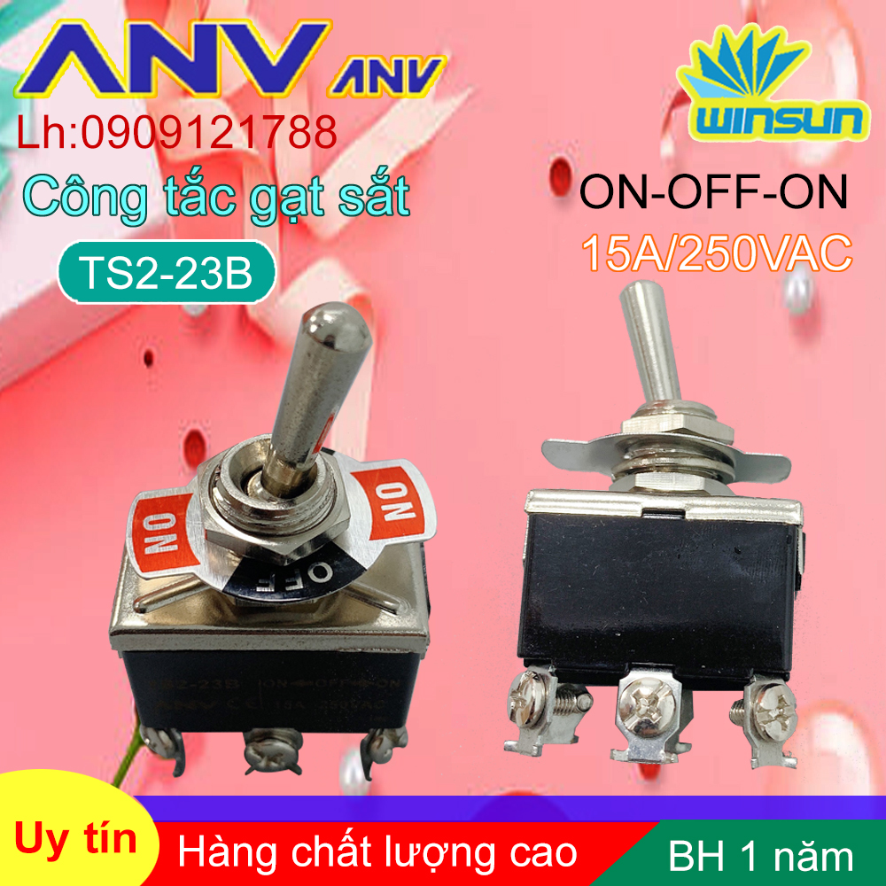 ANV Công tắc gạt sắt ANV ON-OFF-ON 6 chân TS2-23B Winsun