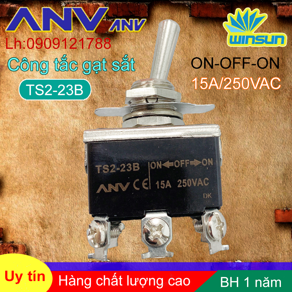 ANV Công tắc gạt sắt ANV ON-OFF-ON 6 chân TS2-23B Winsun