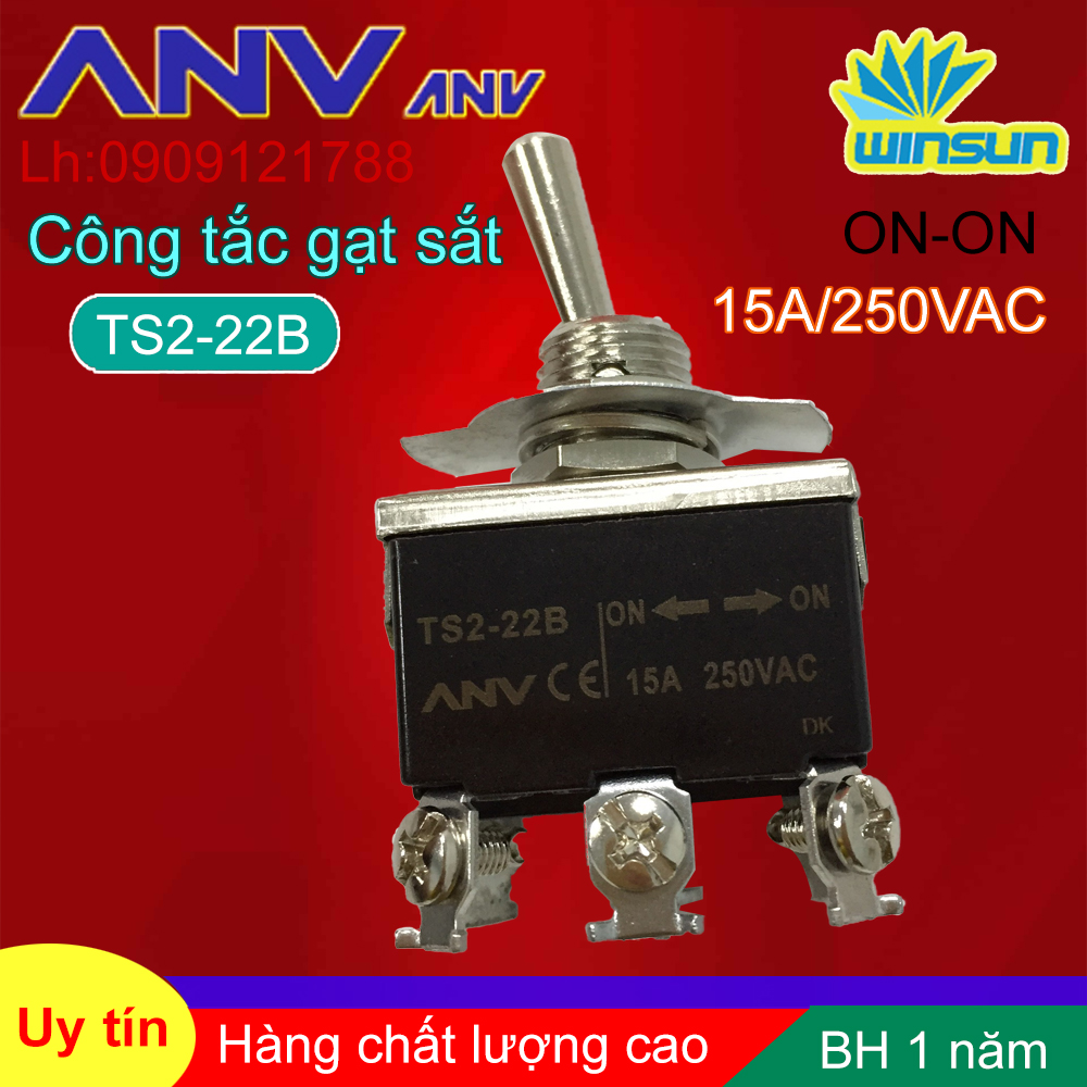 ANV Công tắc gạt sắt ANV ON-ON 6 chân TS2-22B Winsun