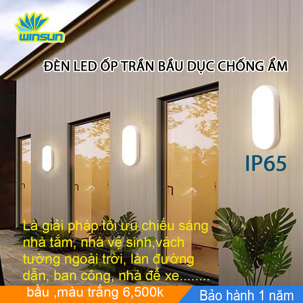 Đèn Led ốp trần bầu dục chống ẩm