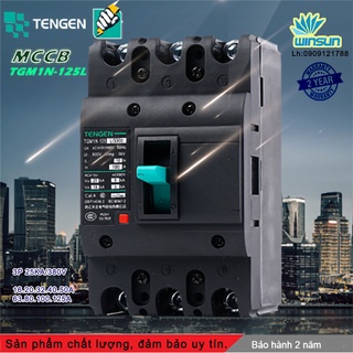 Aptomat Tengen MCCB TGM1N-125L 3 pha 16A~50A Winsun