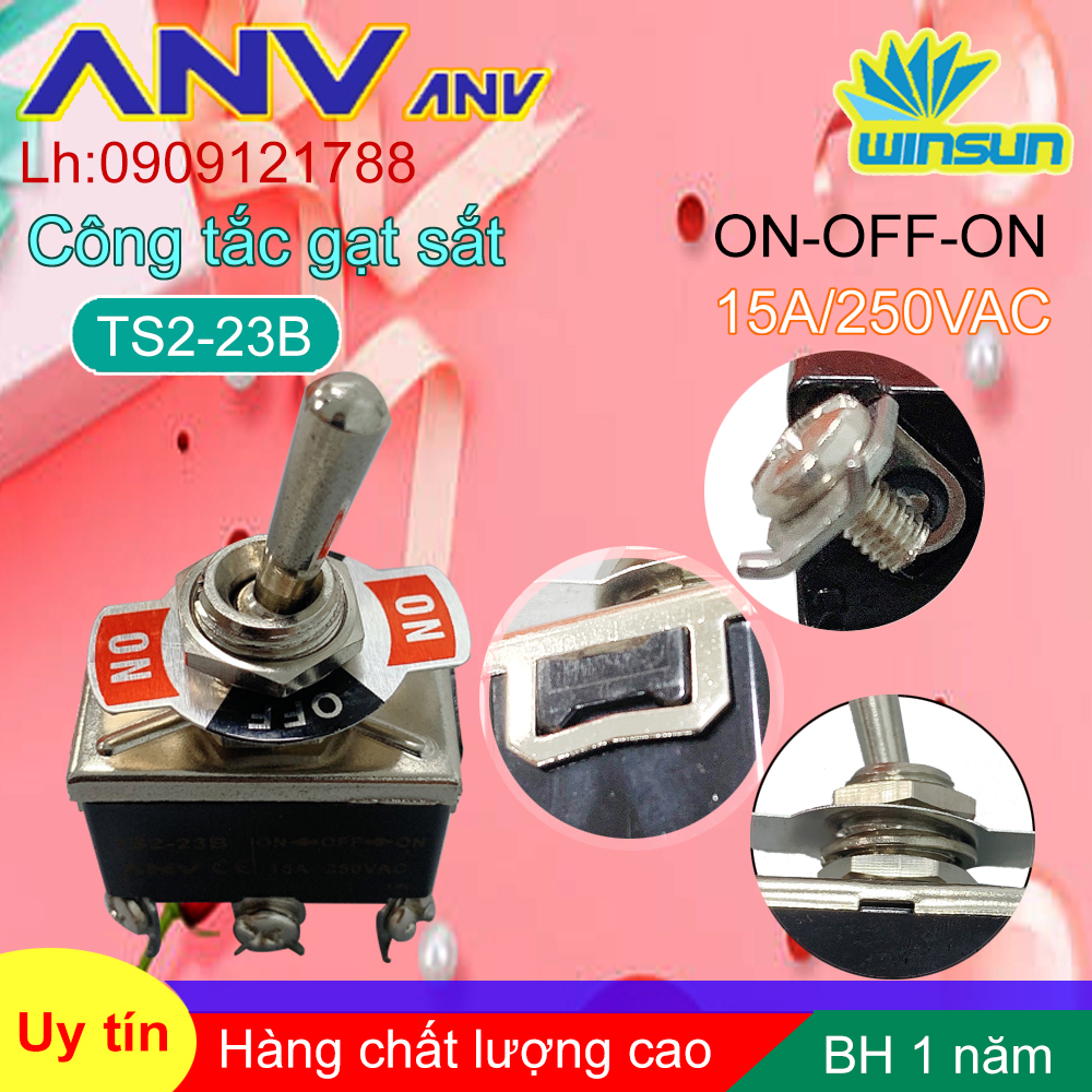 ANV Công tắc gạt sắt ANV ON-OFF-ON 6 chân TS2-23B Winsun