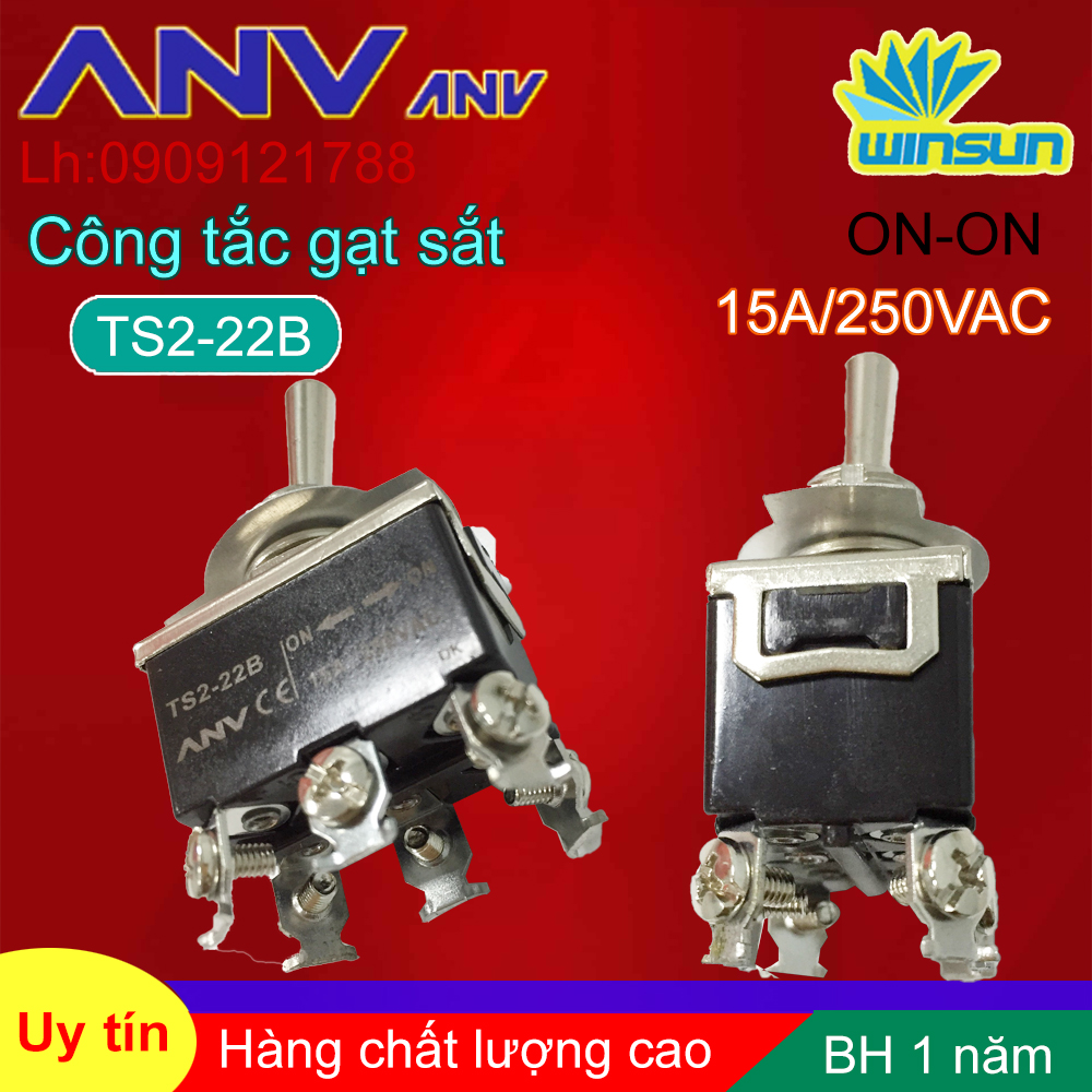 ANV Công tắc gạt sắt ANV ON-ON 6 chân TS2-22B Winsun