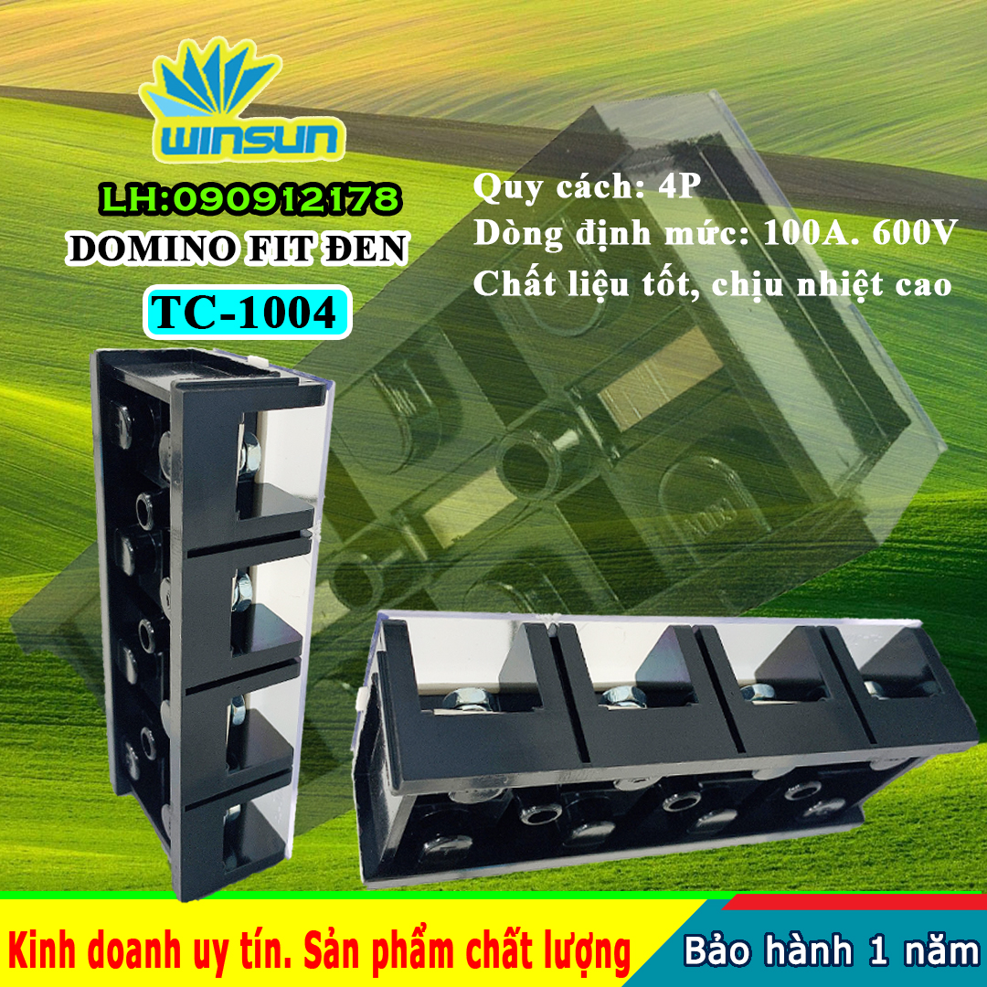 Domino khối fit đen 100A TC-100 Winsun