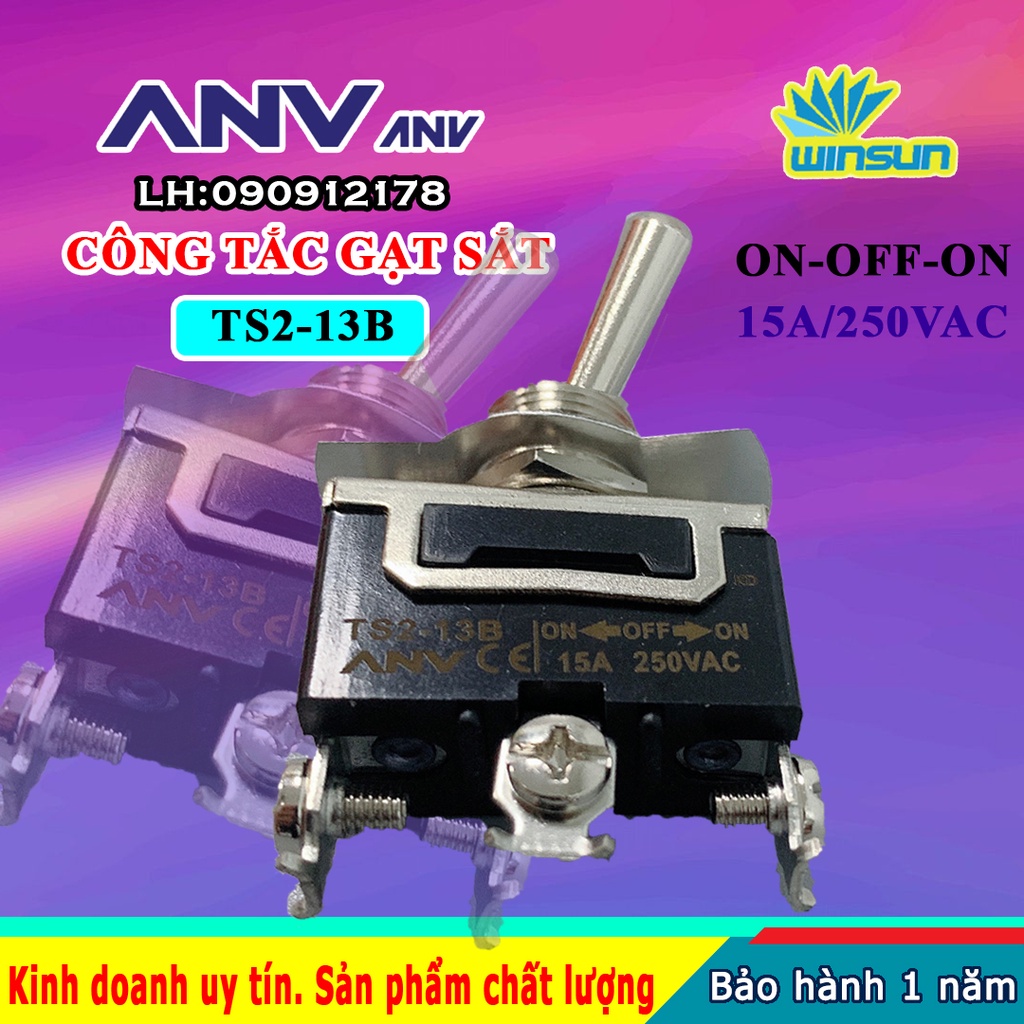 ANV Công tắc gạt sắt ANV ON-OFF-ON 3 chân TS2-13B Winsun