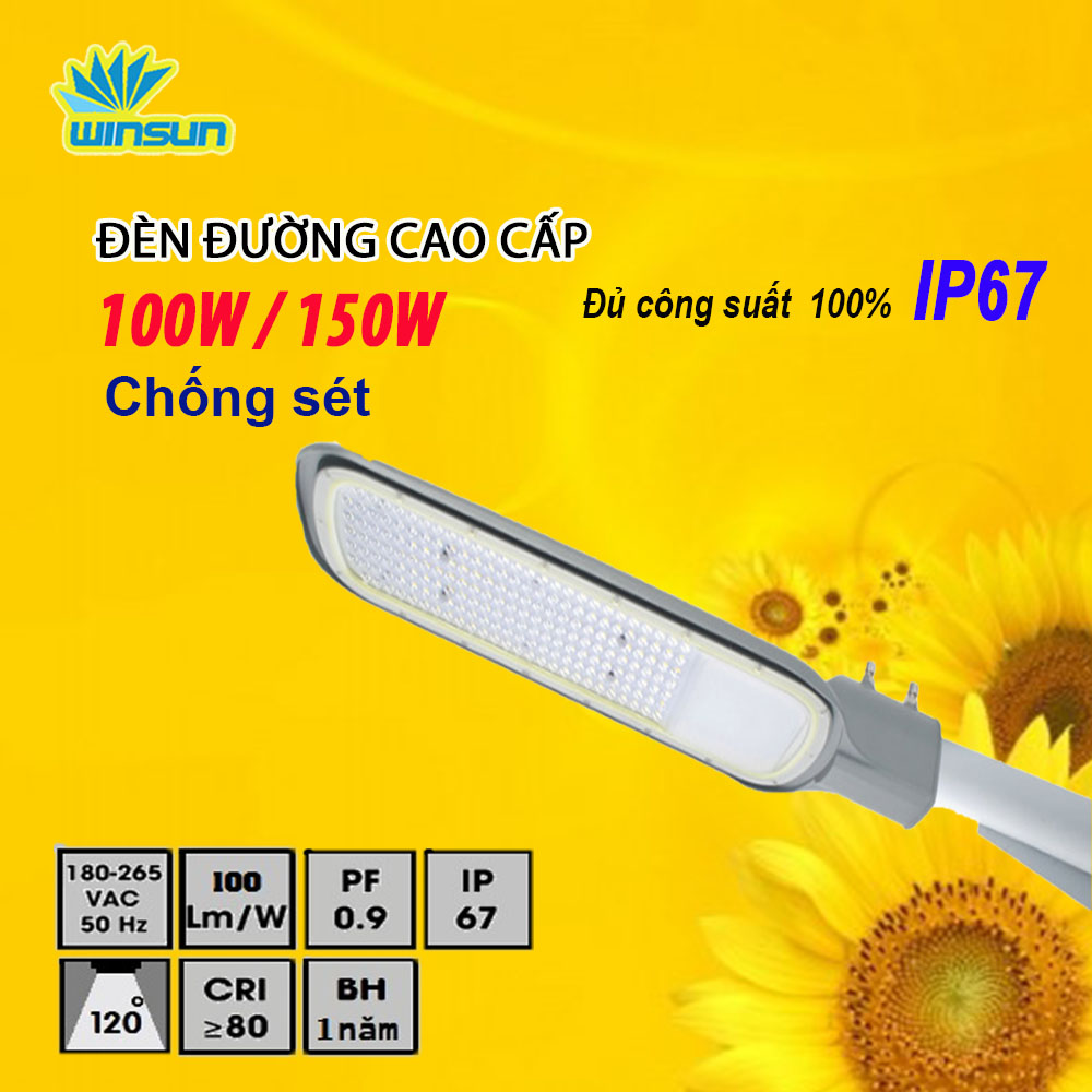 Đèn đường  cao cấp CLC - 100W