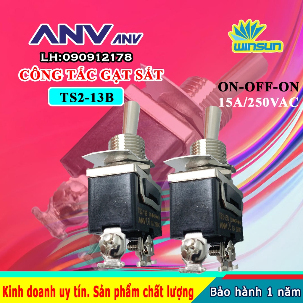 ANV Công tắc gạt sắt ANV ON-OFF-ON 3 chân TS2-13B Winsun