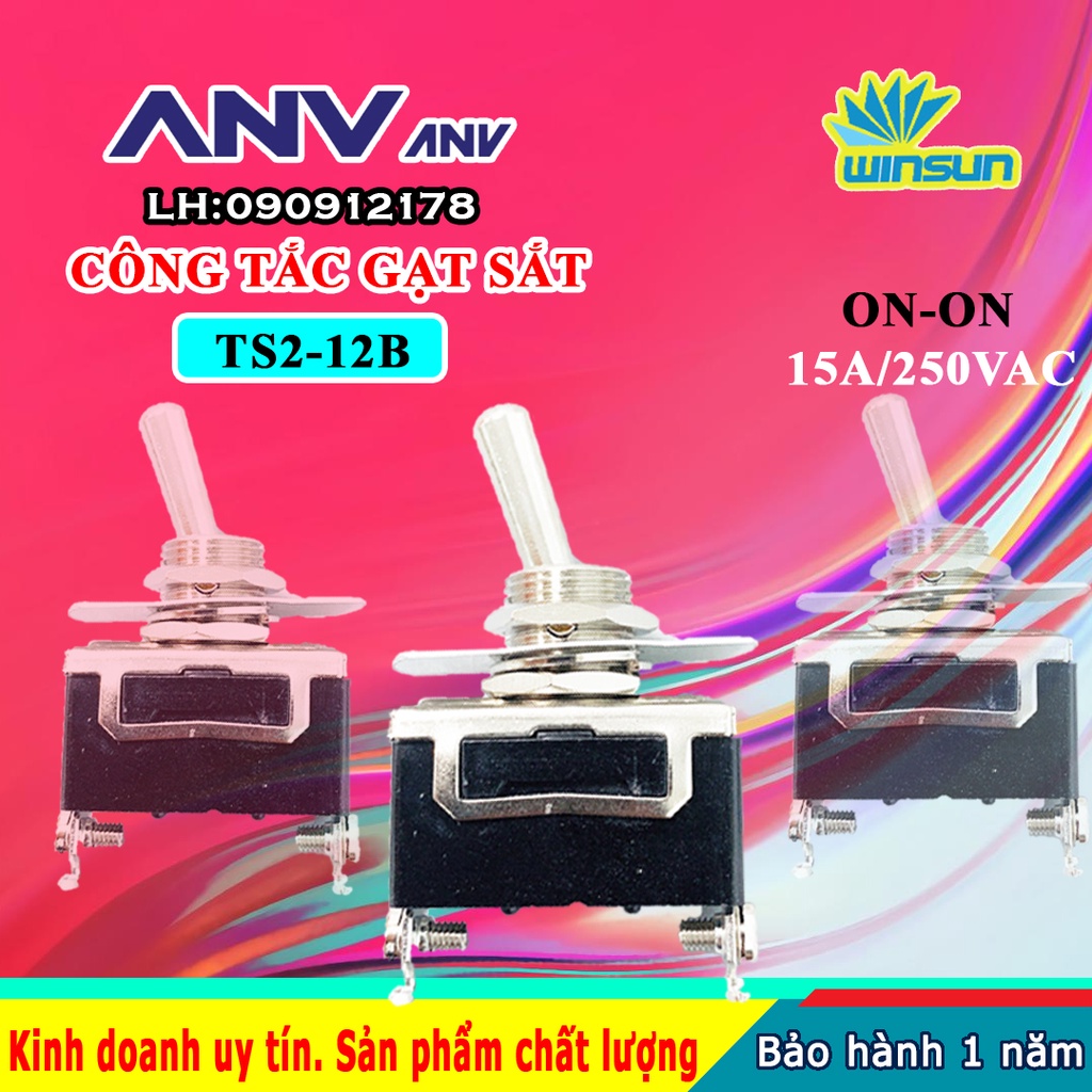 ANV Công tắc gạt sắt ANV ON-ON 3 chân TS2-12B Winsun