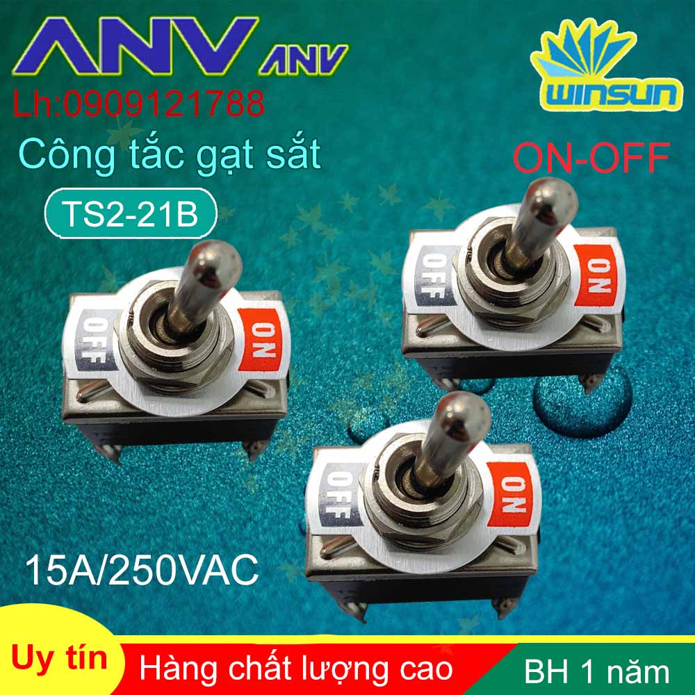 ANV Công tắc gạt sắt ANV ON-OFF 4 chân TS2-21B Winsun