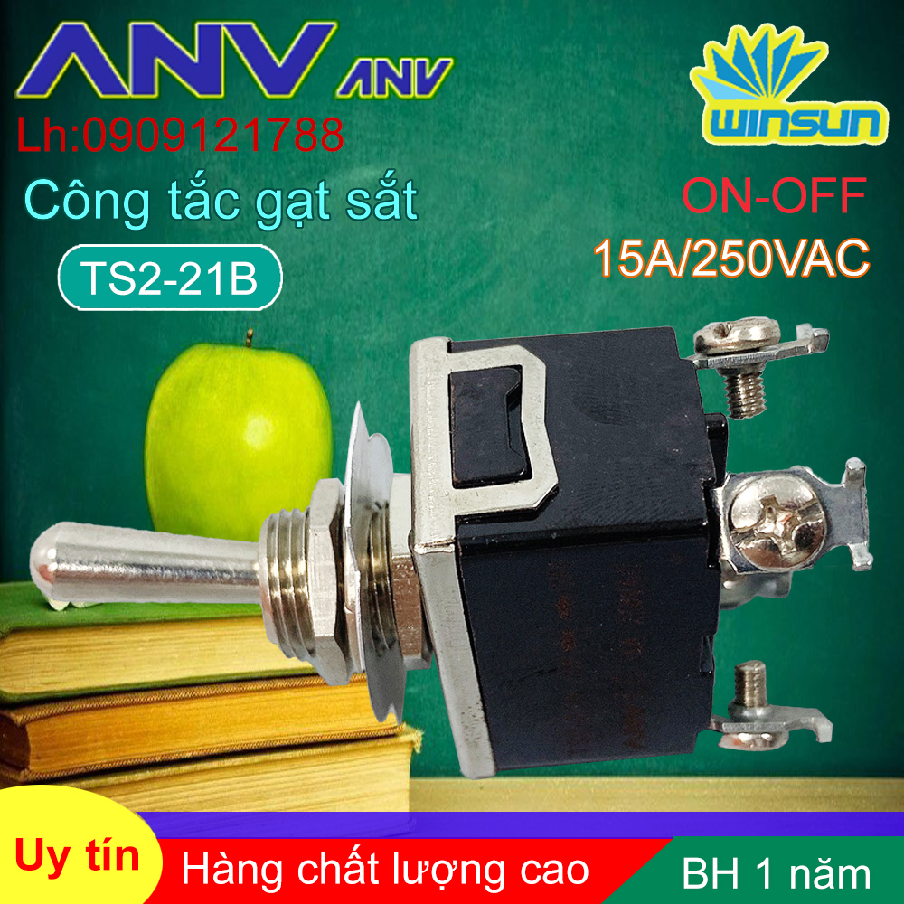 ANV Công tắc gạt sắt ANV ON-OFF 4 chân TS2-21B Winsun