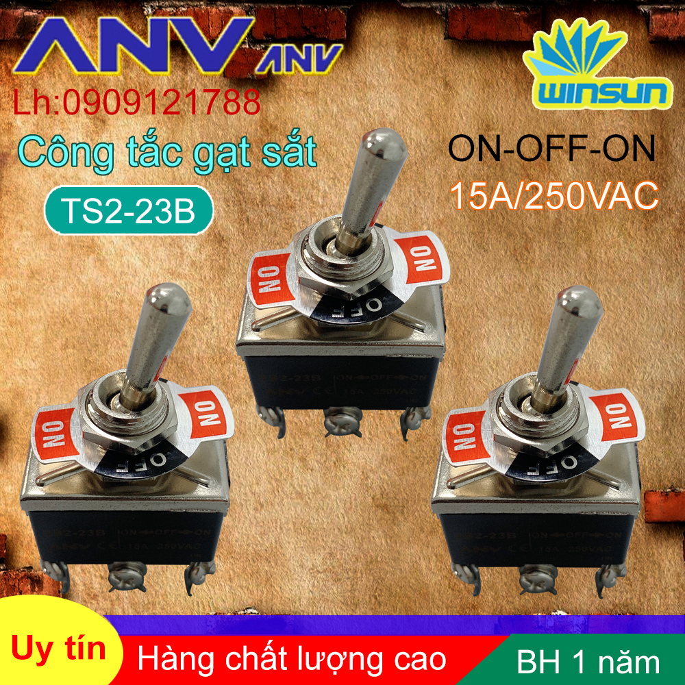 ANV Công tắc gạt sắt ANV ON-OFF-ON 6 chân TS2-23B Winsun