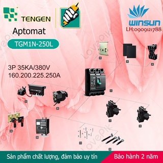 Aptomat Tengen MCCB TGM1N-250L 3 pha Winsun