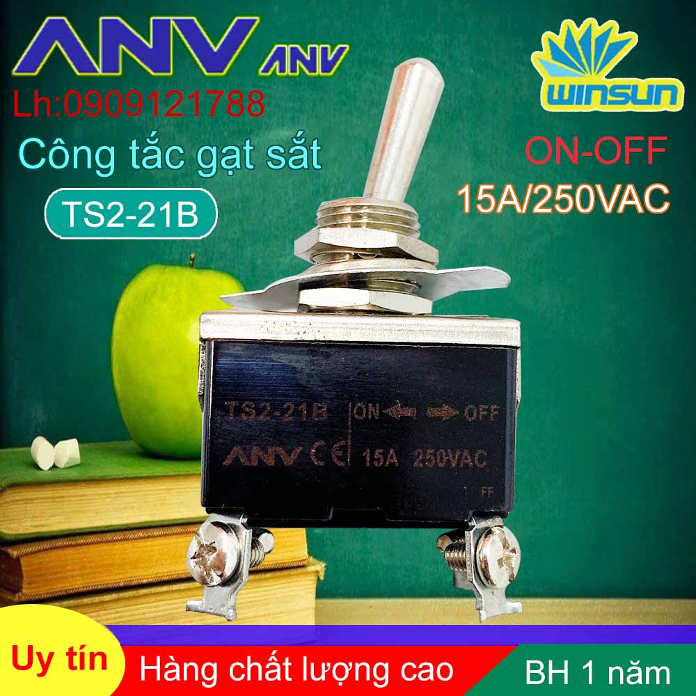 ANV Công tắc gạt sắt ANV ON-OFF 4 chân TS2-21B Winsun