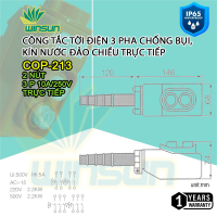 Tay Điều Khiển Máy Tời,Công Tắc Remote COP-213 Trực Tiếp