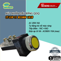 Nút nhấn đầu bằng QDQ CT-B Ø25, Ø30mm