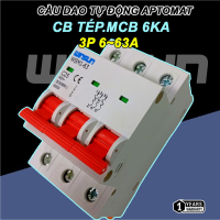 Cầu dao tự động Aptomat Tép Winsun, MCB, CB Tép
