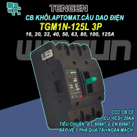 CB khối MCCB aptomat cầu dao điện 3P 16~125A Tengen