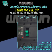 CB khối MCCB aptomat cầu dao điện 3P 16~125A Tengen