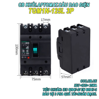 CB khối MCCB aptomat cầu dao điện 3P 16~125A Tengen