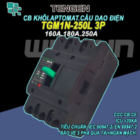 CB khối MCCB aptomat cầu dao điện 3P 160~250A Tengen