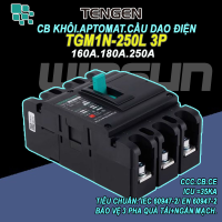 CB khối MCCB aptomat cầu dao điện 3P 160~250A Tengen