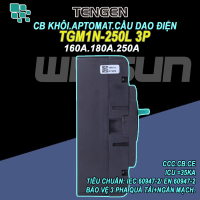 CB khối MCCB aptomat cầu dao điện 3P 160~250A Tengen
