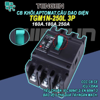 CB khối MCCB aptomat cầu dao điện 3P 160~250A Tengen