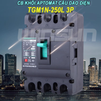 CB khối MCCB aptomat cầu dao điện 3P 160~250A Tengen