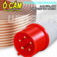 Phích Cắm Công Nghiệp Ổ Cắm Công Nghiệp (3P/4P/5P-16A/32A) IP44