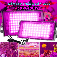 Đèn Led Trồng Cây 50W 100W Ngoài Trời Dây 1.8m Có Phích Cắm Công Tắc BH: 1 năm ( 1 đổi 1 )