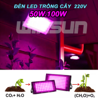 Đèn Led Trồng Cây 50W 100W Ngoài Trời Dây 1.8m Có Phích Cắm Công Tắc BH: 1 năm ( 1 đổi 1 )