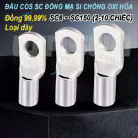 Đầu COS trần, bịt đầu SC bằng đồng mạ si chống oxi hóa SC6 ~ SC150 (Loại dày) (2-10 chiếc)