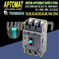 CB khối MCCB aptomat cầu dao điện 3P 16~125A Tengen