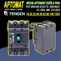 CB khối MCCB aptomat cầu dao điện 3P 16~125A Tengen