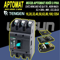CB khối MCCB aptomat cầu dao điện 3P 16~125A Tengen