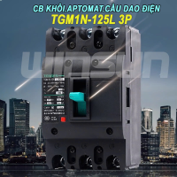 CB khối MCCB aptomat cầu dao điện 3P 16~125A Tengen