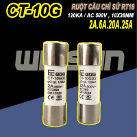 RUỘT CẦU CHÌ SỨ RT18 2A 6A 20A 25A QDQ