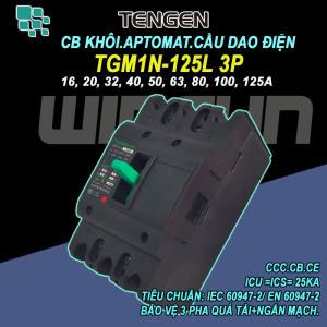 CB khối MCCB aptomat cầu dao điện 3P 16~125A Tengen