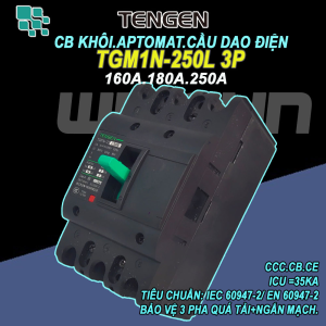 CB khối MCCB aptomat cầu dao điện 3P 160~250A Tengen